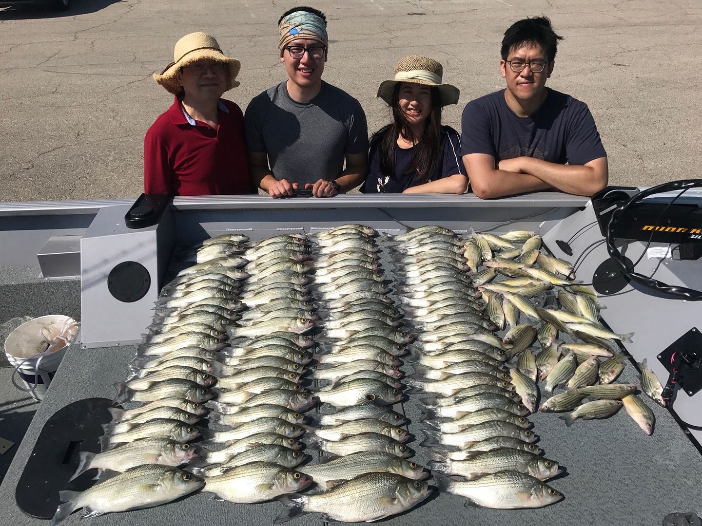 Lake Lavon Fishing Guide Report ( Updated weekly w/ pics